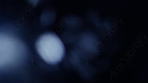 视频素材-耀斑Bokeh14_4K