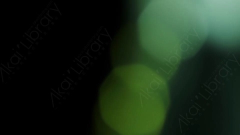 视频素材-耀斑Bokeh2_4K