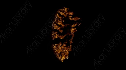 视频素材-环形燃烧火焰Fire_Ring_Side_120fps_07