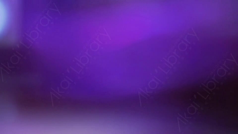 视频素材-LL_026耀斑