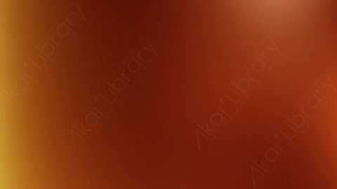 视频素材-耀斑LeaksN_Flares_006