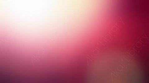 视频素材-耀斑LeaksN_Flares_016