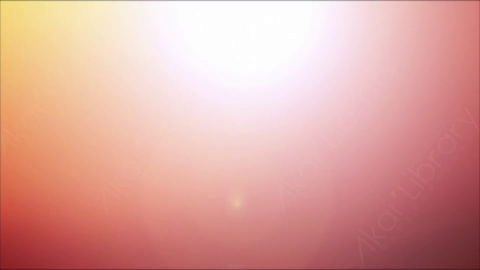 视频素材-耀斑LeaksN_Flares_021