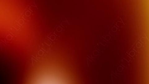 视频素材-耀斑LeaksN_Flares_022