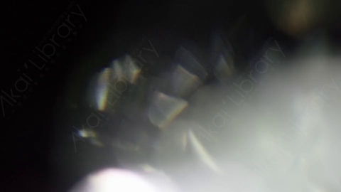 视频素材-耀斑Luminary_10