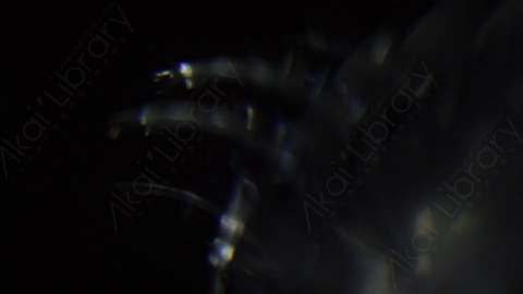 视频素材-耀斑Luminary_9