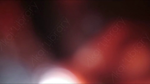 视频素材-耀斑MultiColor_Ambience_2