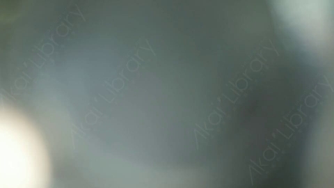 视频素材-耀斑MultiColor_Transition_1