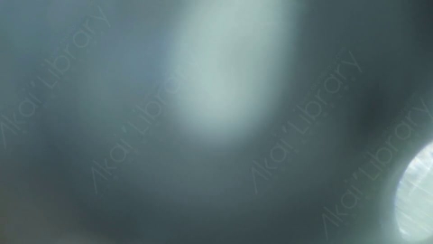 视频素材-耀斑MultiColor_Transition_5