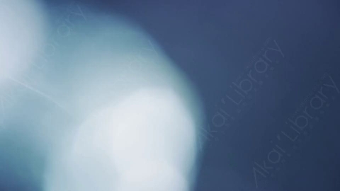 视频素材-耀斑Quick_4
