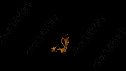 视频素材-Rampant_4K_Fire_029燃烧火焰