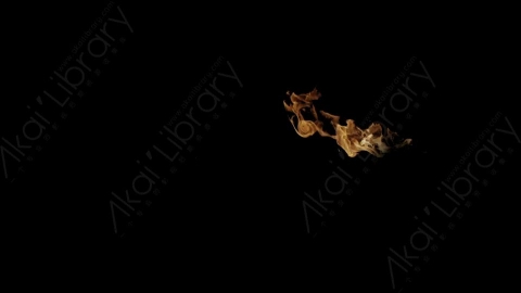 视频素材-Rampant_4K_Fire_151喷射火焰燃烧