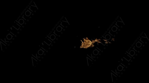 视频素材-Rampant_4K_Fire_158喷射火焰燃烧