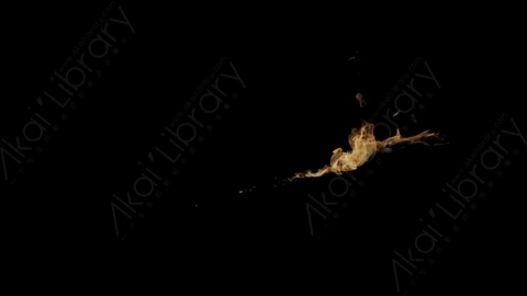 视频素材-Rampant_4K_Fire_202喷射火焰燃烧