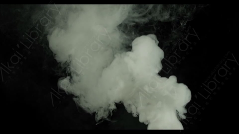 视频素材-烟雾Rampant_4K_Smoke_027