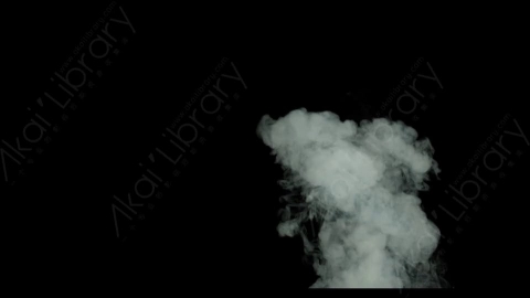 视频素材-烟雾Rampant_4K_Smoke_113