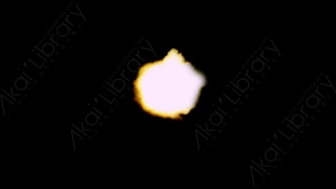 视频素材-枪口火焰Rampant_Muzzle_Flashes_138