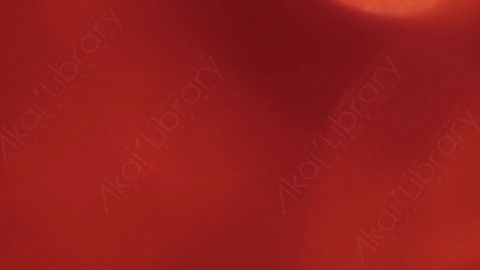 视频素材-耀斑Red_Ambience_1