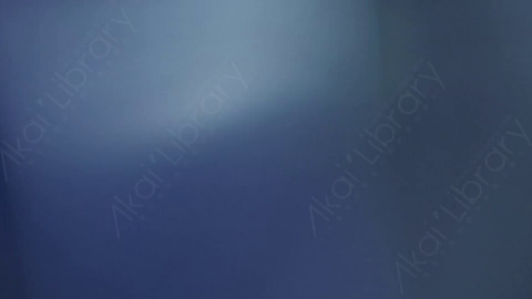 视频素材-耀斑Soft_White_Transition
