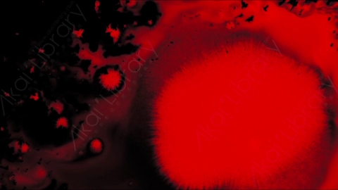 视频素材-血液晕染Splatter_Soaking_03