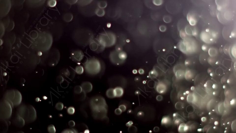 视频素材-灰尘颗粒Bokeh_DOF_04