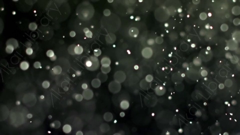 视频素材-灰尘颗粒Bokeh_DOF_05