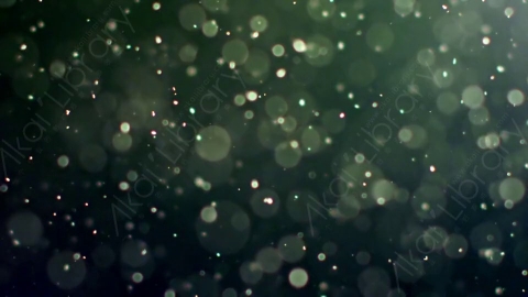 视频素材-灰尘颗粒Bokeh_DOF_07