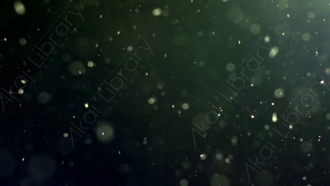 视频素材-灰尘颗粒Bokeh_DOF_08