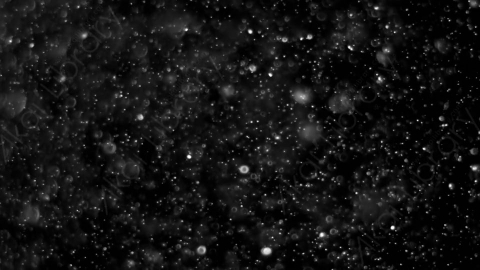 视频素材-灰尘颗粒Bokeh_Dense_10