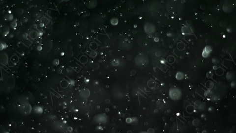 视频素材-灰尘颗粒Bokeh_Dense_12