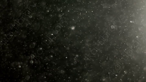 视频素材-灰尘尘土颗粒Light_Dense_04