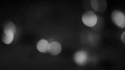 视频素材-光斑steady_circular_bokeh_black_&_white_03