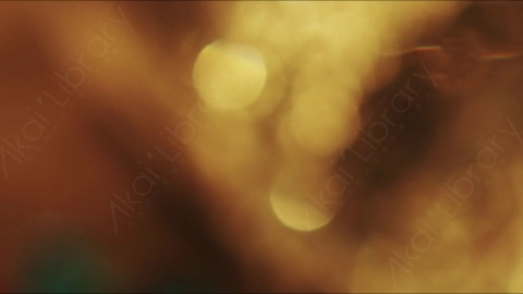 视频素材-光斑steady_circular_bokeh_yellow_01