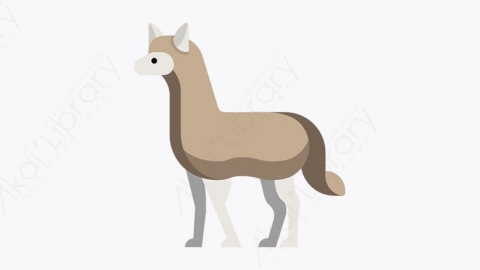 图片素材-001_羊驼_alpaca
