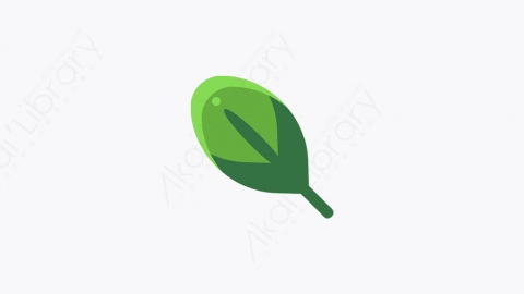 图片素材-001_叶子树叶_leaf