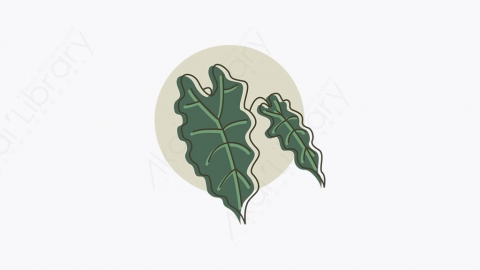 图片素材-001_植物_plant