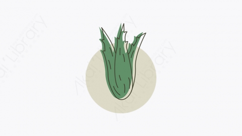 图片素材-002_芦荟_aloe