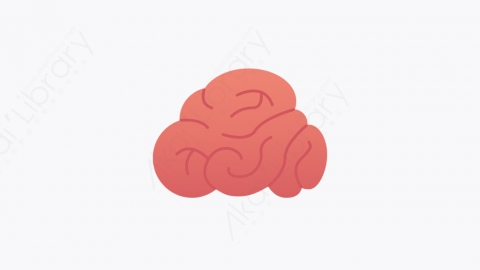 图片素材-002_人脑_human_brain