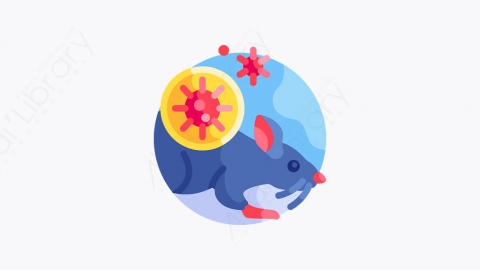 图片素材-002_老鼠_rat
