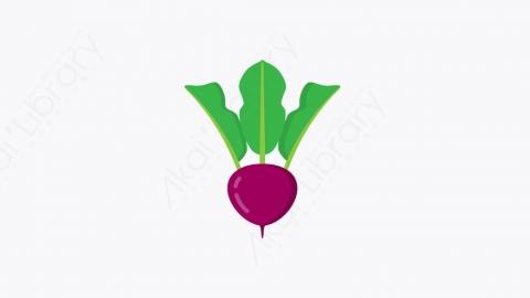 图片素材-003_甜菜根_beetroot