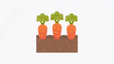 图片素材-003_胡萝卜_carrot