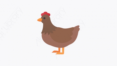 图片素材-004_鸡_chicken
