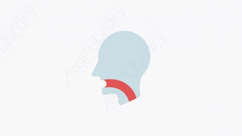 图片素材-004_喉咙_throat