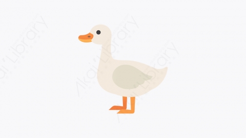 图片素材-005_鸭子_duck