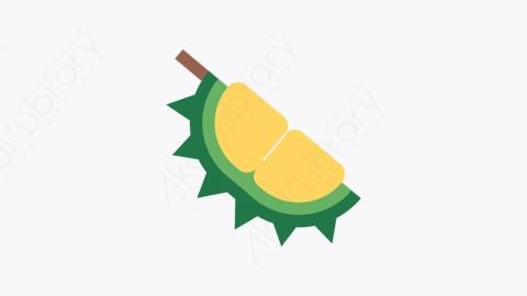 图片素材-005_榴莲_durian