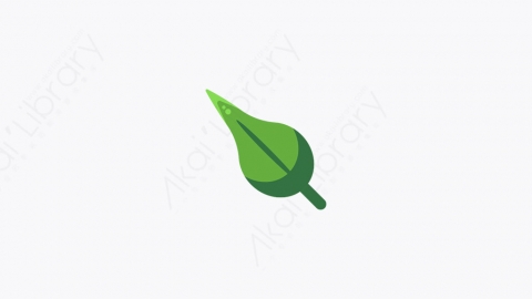 图片素材-006_叶子树叶_leaf
