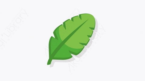 图片素材-008_叶子_leaf