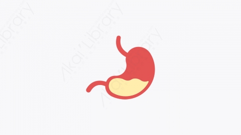 图片素材-008_胃_stomach