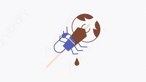 图片素材-009_昆虫_insect