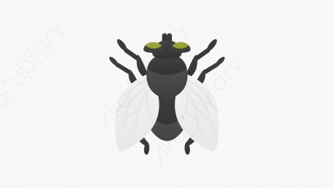图片素材-010_蝉_fly